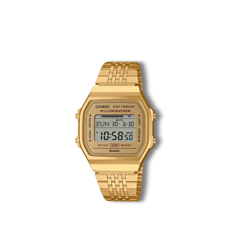 Casio Quartz Watch